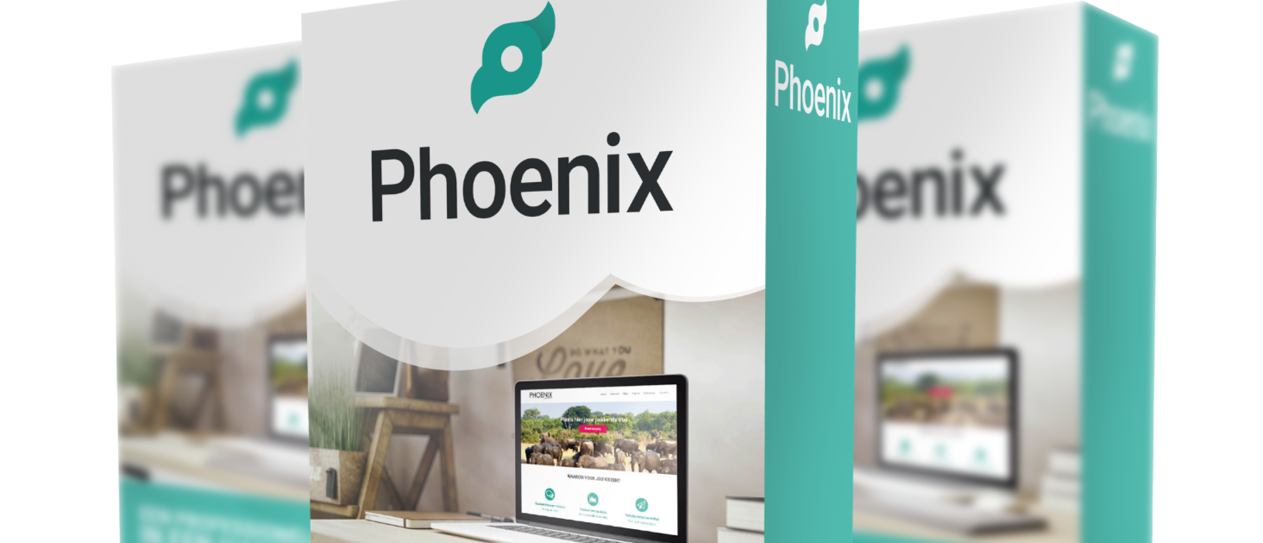 phoenix-software-review-seo-landingspagina-software
